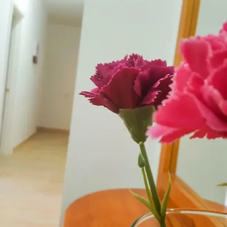 Atico * Gran Tarajal