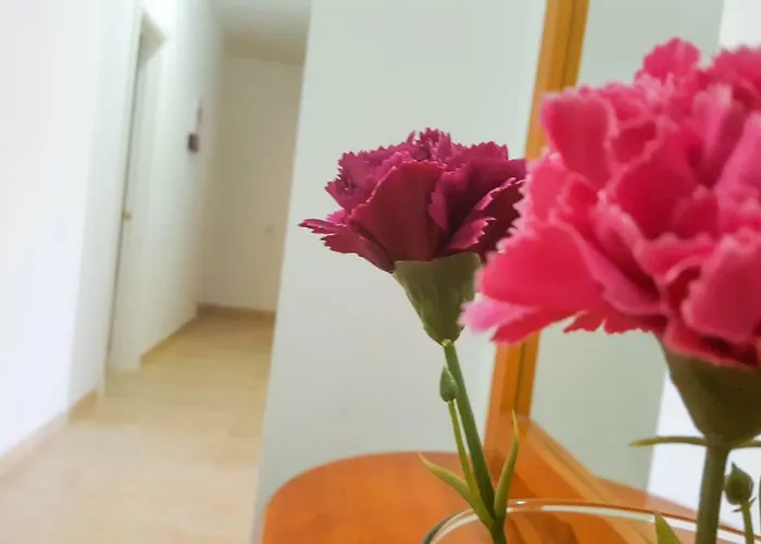 Atico * גראן טאראחל